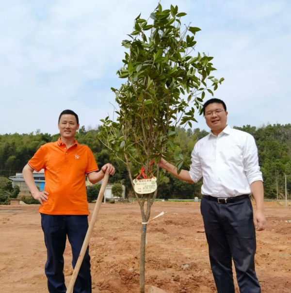 湖南草字頭生態環境建設有限公司,人造草坪假草皮,湖南雨水收集處理工藝