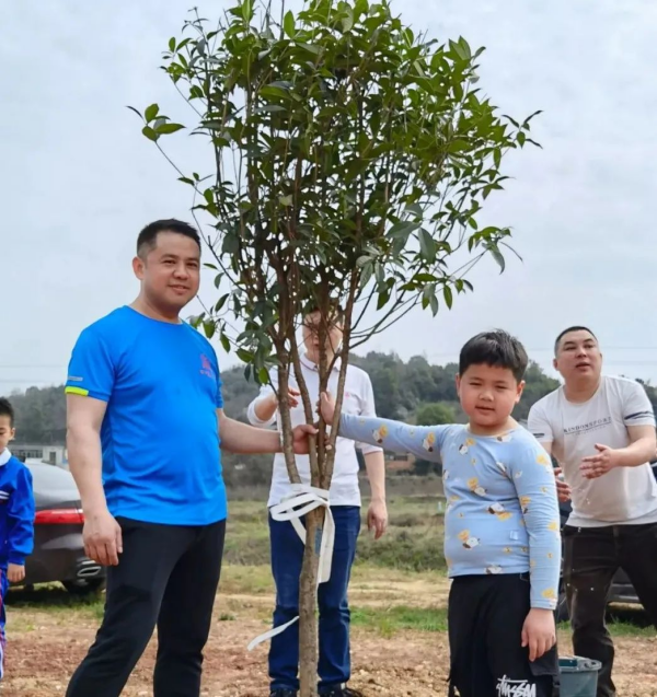 湖南草字頭生態環境建設有限公司,人造草坪假草皮,湖南雨水收集處理工藝